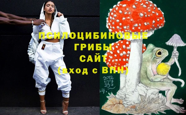 бутират Гусев