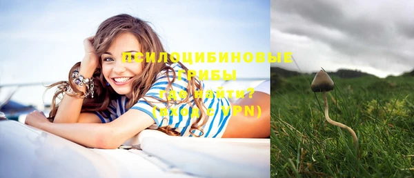 бутират Гусев