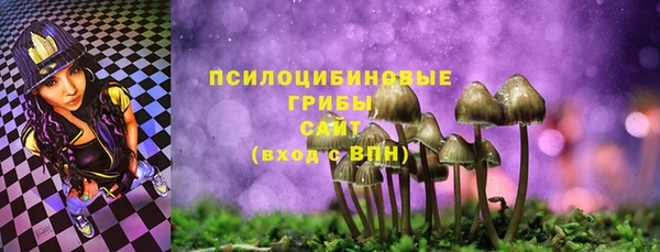 бутират Гусев