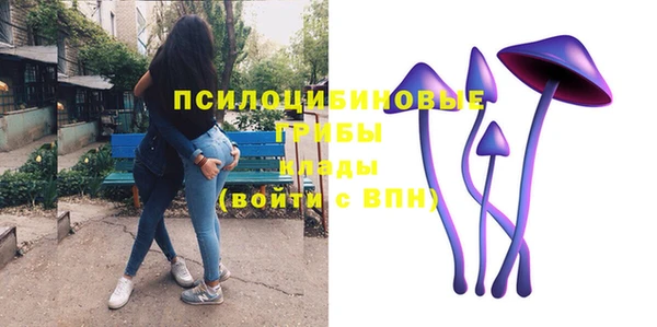 бутират Гусев